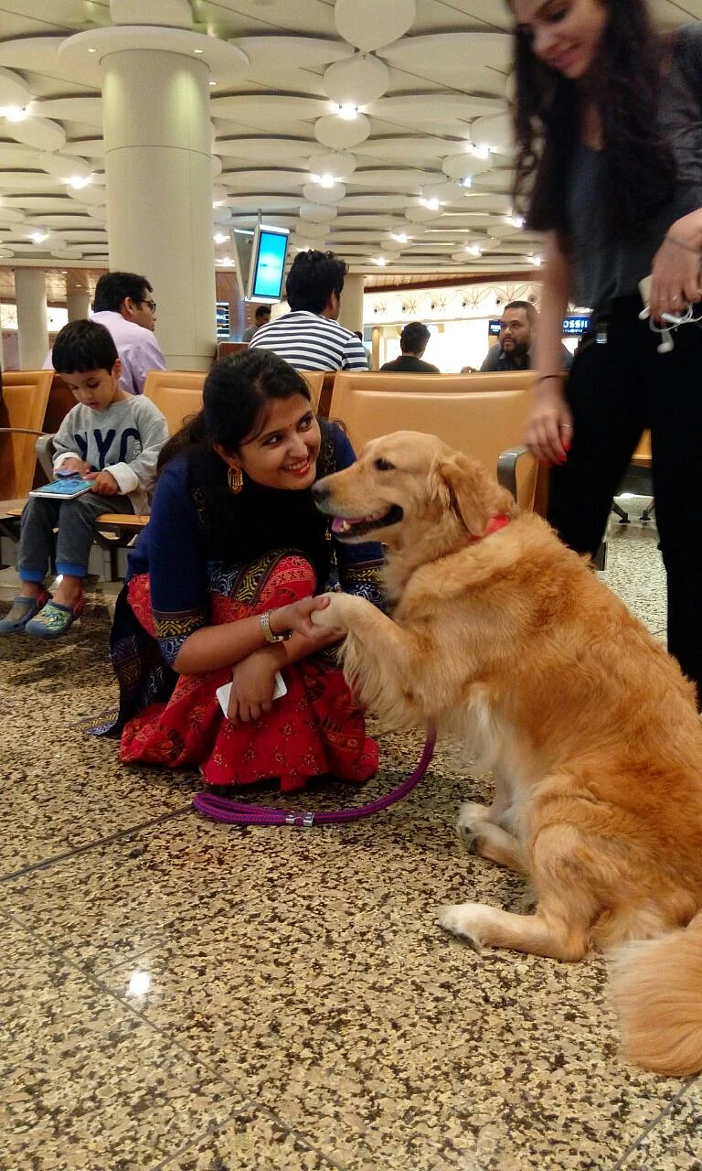 Before employing the canine as a therapy dog, a temperament test is conducted to see if he or she can work in a setting like the airport or a hospital. (Photo Courtesy: Animal Angels Foundation/<a href="http://www.animalangels.org.in/">www.animalangels.org.in</a>)
