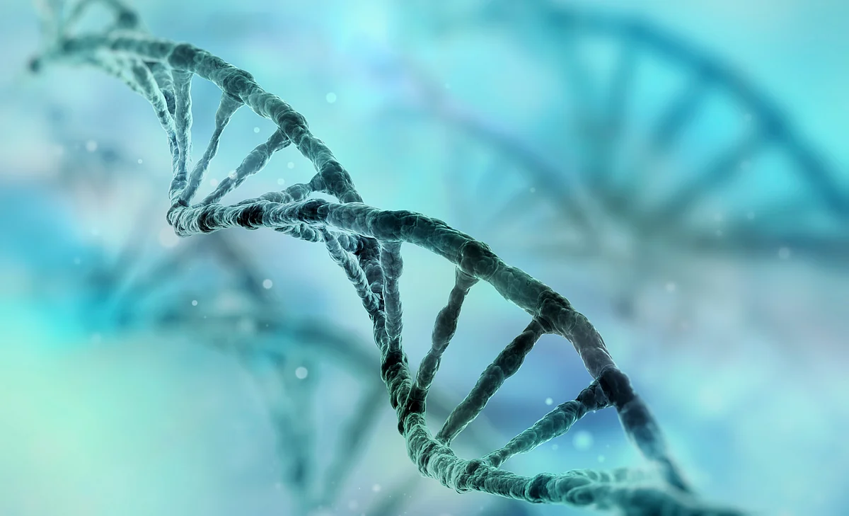 DNA strands have a unique fingerprint. (Photo: iStockphoto)