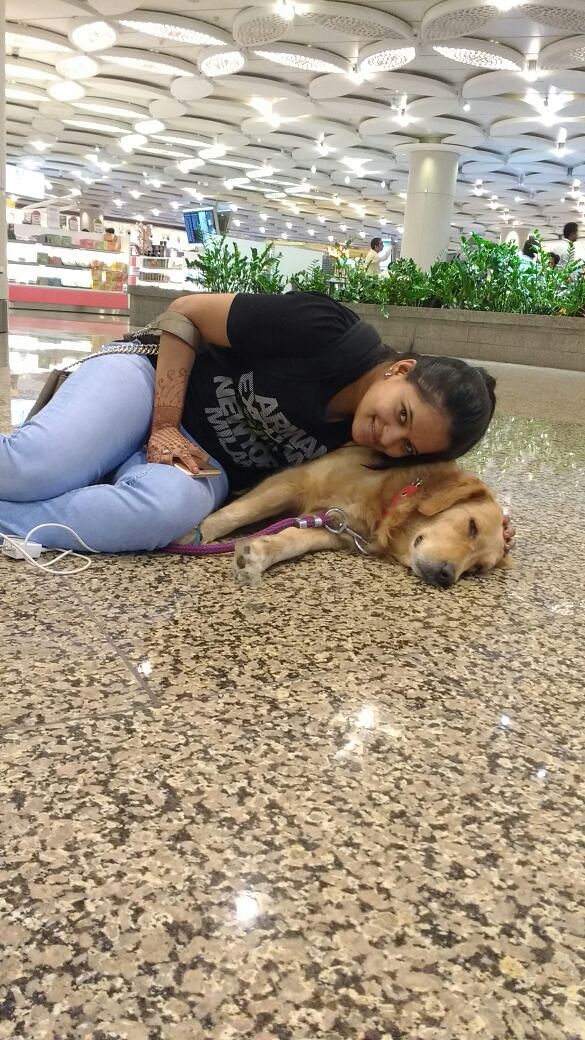 Animal Angels: These 3 Dogs at Mum Airport are Trained to Hug You!
