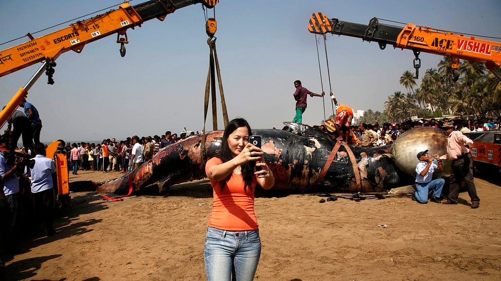 A woman takes a selfie in front of a dead whale on Juhu beach. (Photo: AP)