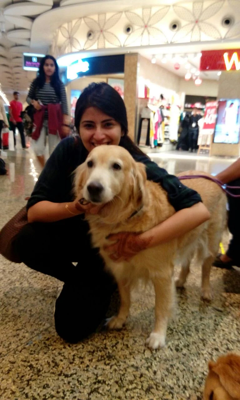 This set of three dogs, Pepe, Sunshine and Pearl, promise to soothe, comfort and de-stress harried passengers inside the departure terminal. (Photo Courtesy: Animal Angels Foundation/<a href="http://www.animalangels.org.in/">www.animalangels.org.in</a>)