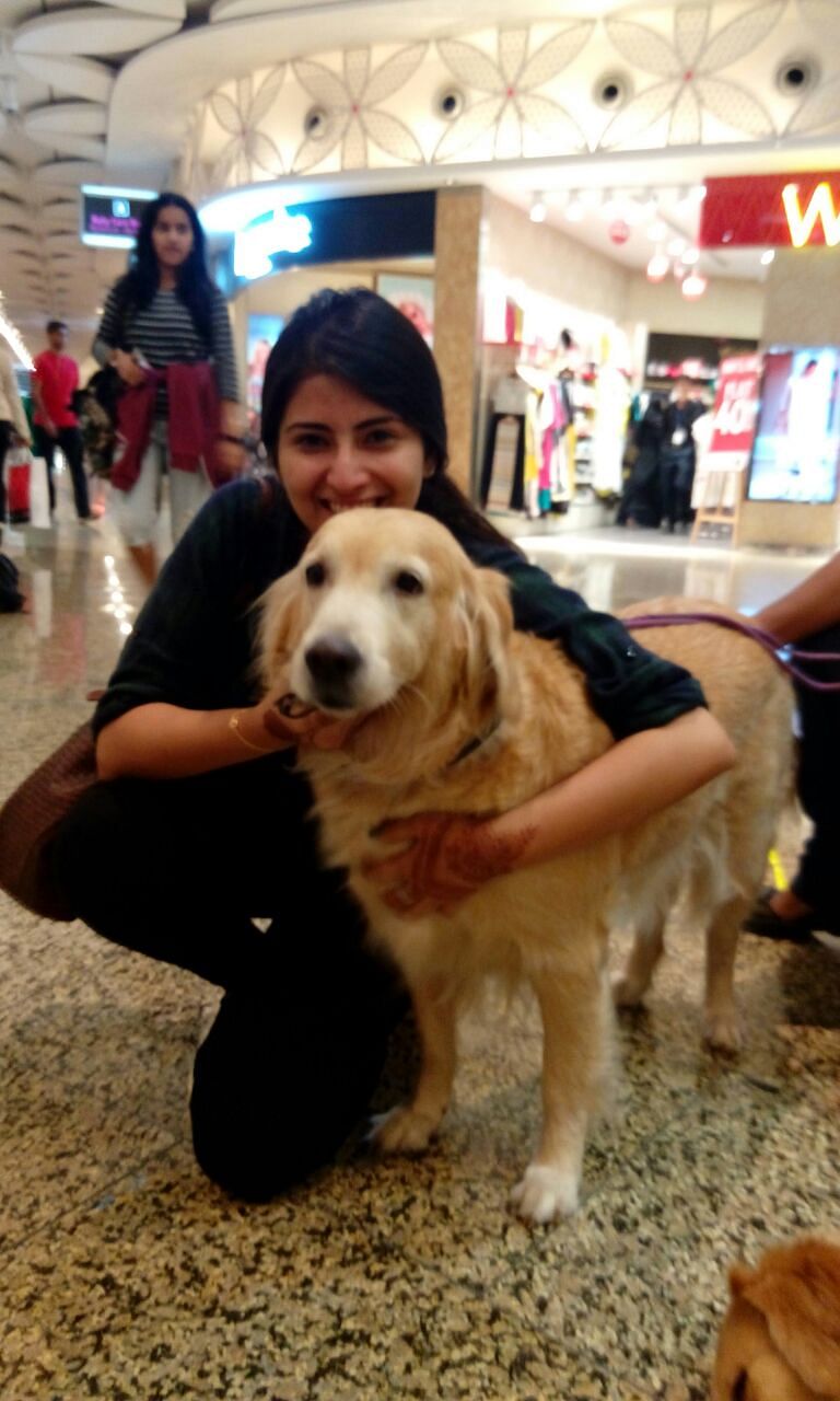 Three golden retrievers are ‘employees’ at Mumbai Airport – and they’re the best you could ever have!