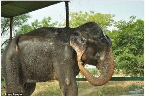 

Illegally held by politically-backed captors, Mohan was rescued from Pratapgarh in a 20-hour-long operation.