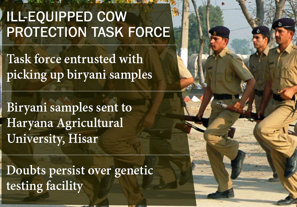 Haryana’s labs may not be well-equipped to confirm presence of beef in biryani samples being sent by the police.