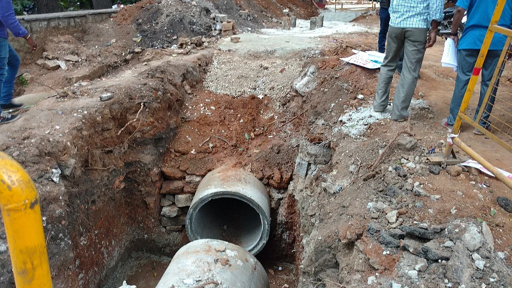 TenderSURE initiative, a brainchild of BJP government in Karnataka, has come under the scanner after it was revealed that it may result in tree felling on a large scale. (Photo: Subir Ghosh/ <b>The Quint</b>)