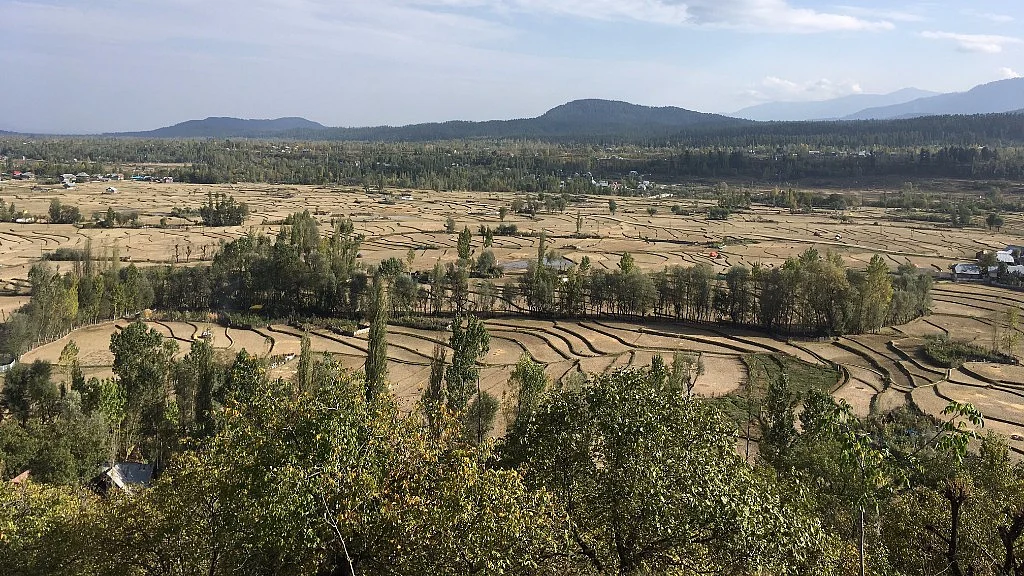 A valley near Chowkibal. (Photo: Jaskirat Singh Bawa/ <b>The Quint</b>)