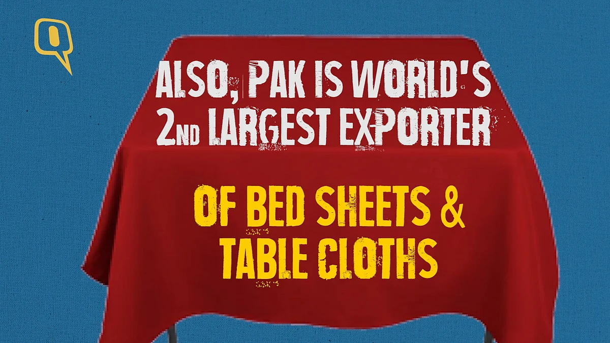 Pakistan Beyond Terrorism: Making Footballs, Helping India & More