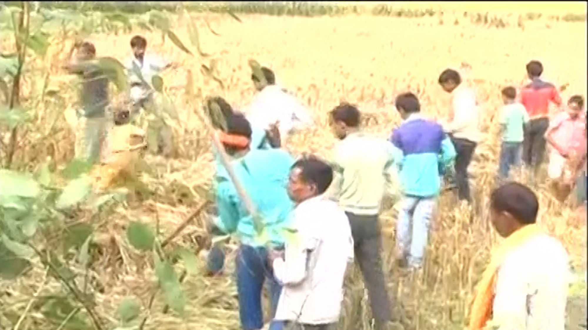 Residents of Param village in Rampur search for snakes. (Photo: ANI Screengrab)