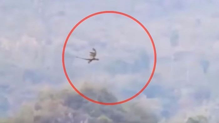 Is this a dragon or a pterodactyl caught on tape? (Photo Courtesy: YouTube Screengrab)&nbsp;