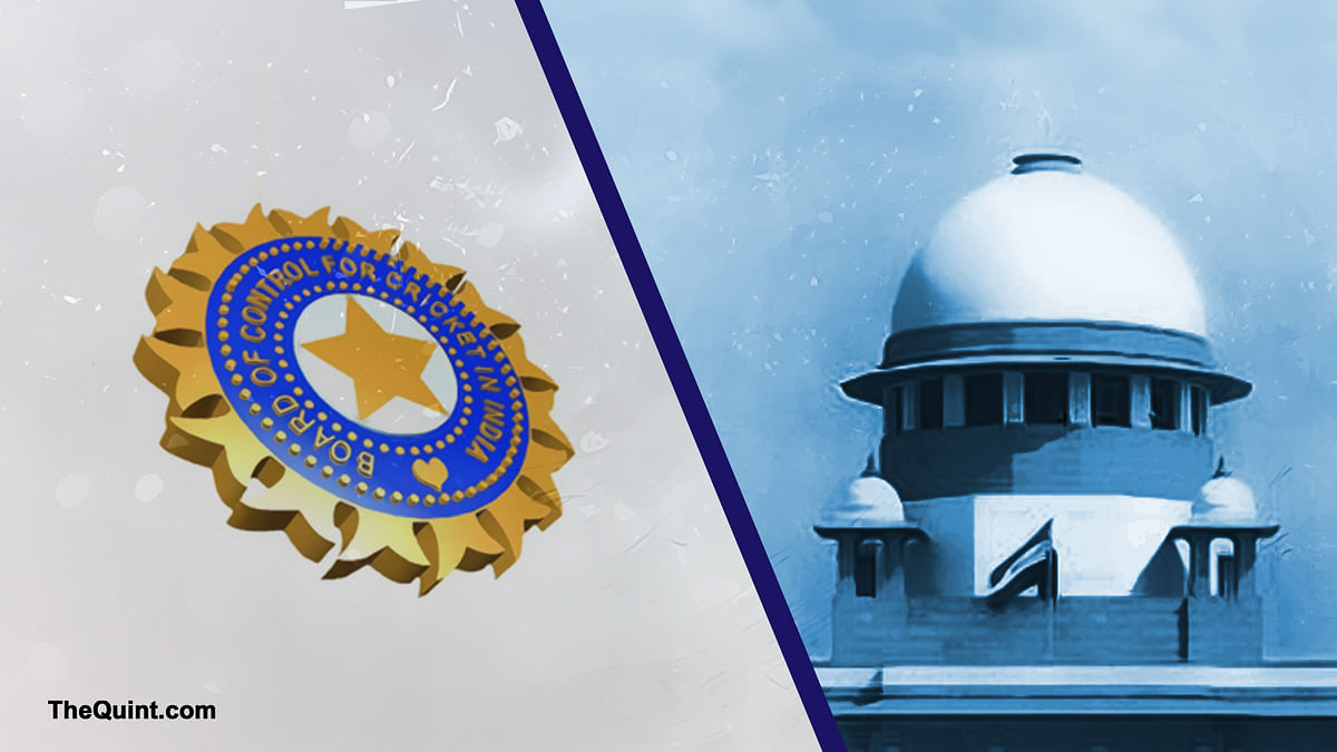 Another Breather for BCCI: SC Tells Board to Get States in Line