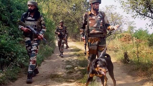 Dogs are helping security forces in anti-militancy operations in Kashmir. (Photo: PTI)