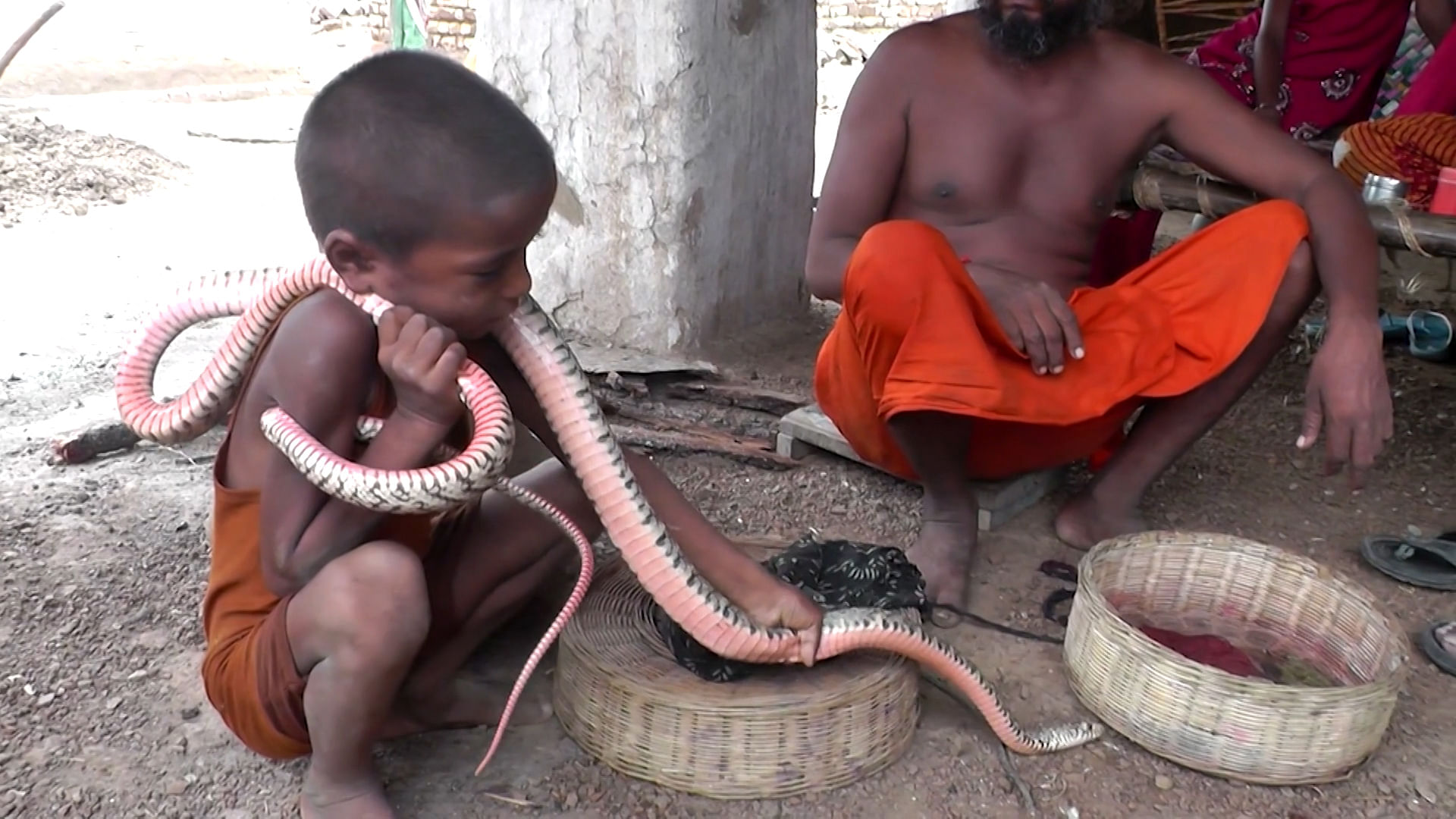Змеи живут в индии. Индийские заклинатели змей. Заклинатели змей в Индии. Индийский Укротитель змей. Укротитель змей в Индии.