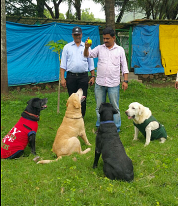 File photo of Caesar and his canine friends at the retirement home in Virar. (Photo: ANI)