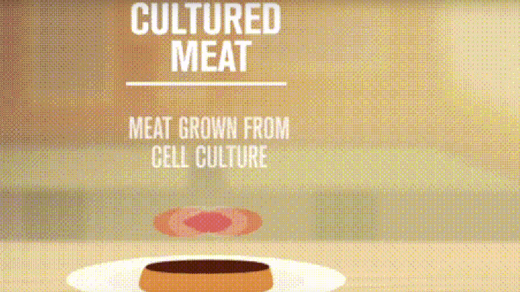 They may not taste like real meat, but scientists are working on it. (Photo: YouTube/ <b>The Quint</b>)