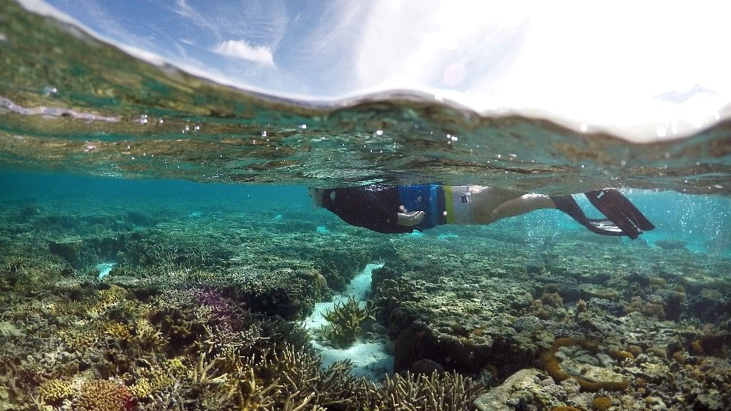 Australia’s Great Barrier Reef. (Photo: Reuters)