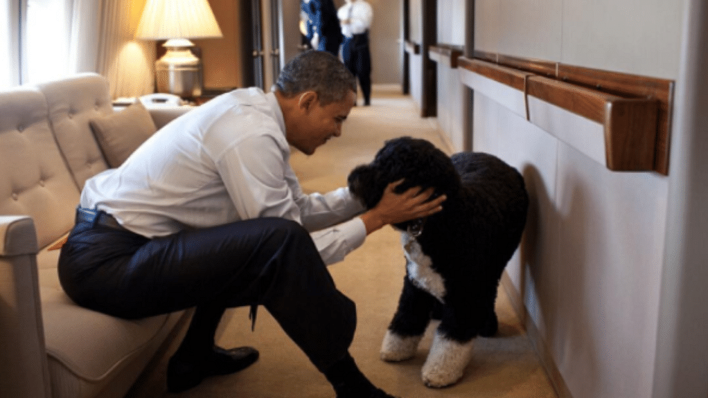 President Barack Obama with his pet dog at the White House. (Photo Courtesy: Instagram/<a href="https://www.instagram.com/petesouza/?hl=en">Pete Souza</a>)