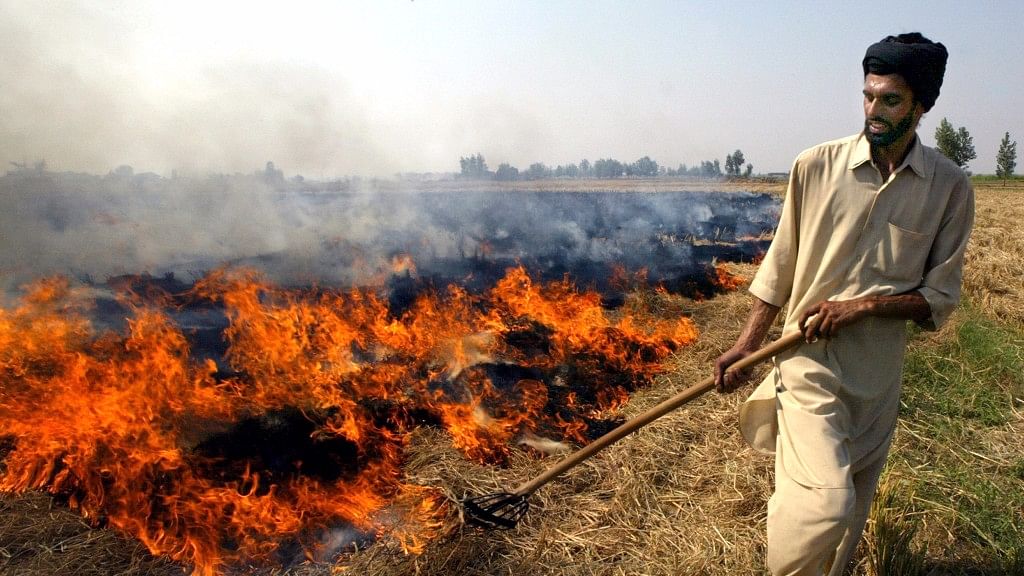 An Indian farmer burns paddy husks after a harvest near Chandigarh.&nbsp;