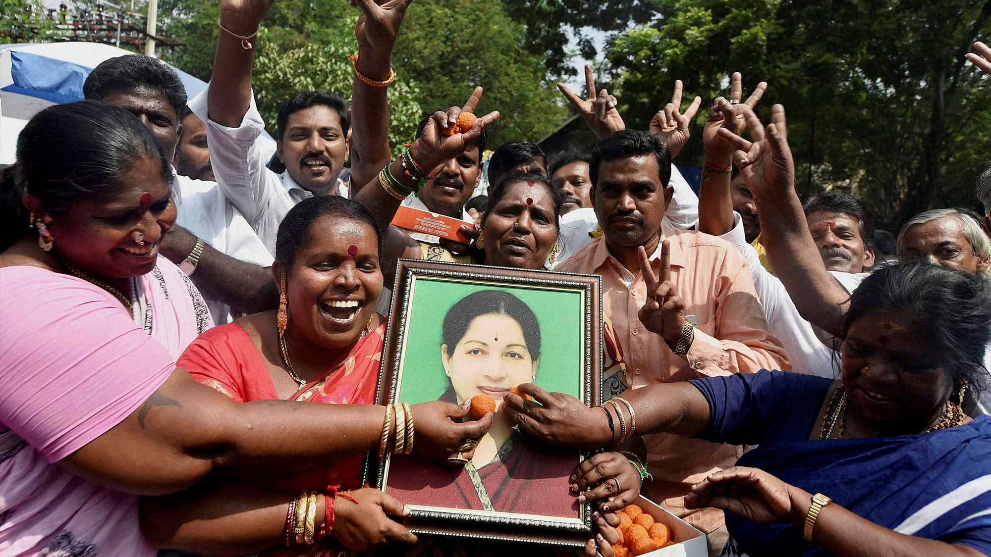 In the Assembly bypolls held on November 19,  BJP and AIADMK won three seats each, CPI(M) got two while Congress and Trinamool bagged one each. (Photo: PTI)