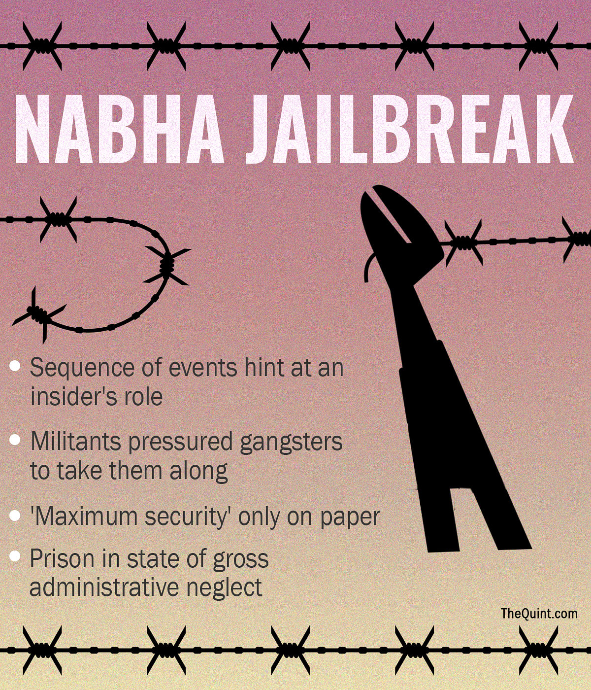 The Nabha jailbreak is a symptom of a  deeper malaise that afflicts Punjab’s prison system,  writes Shashi Kant.