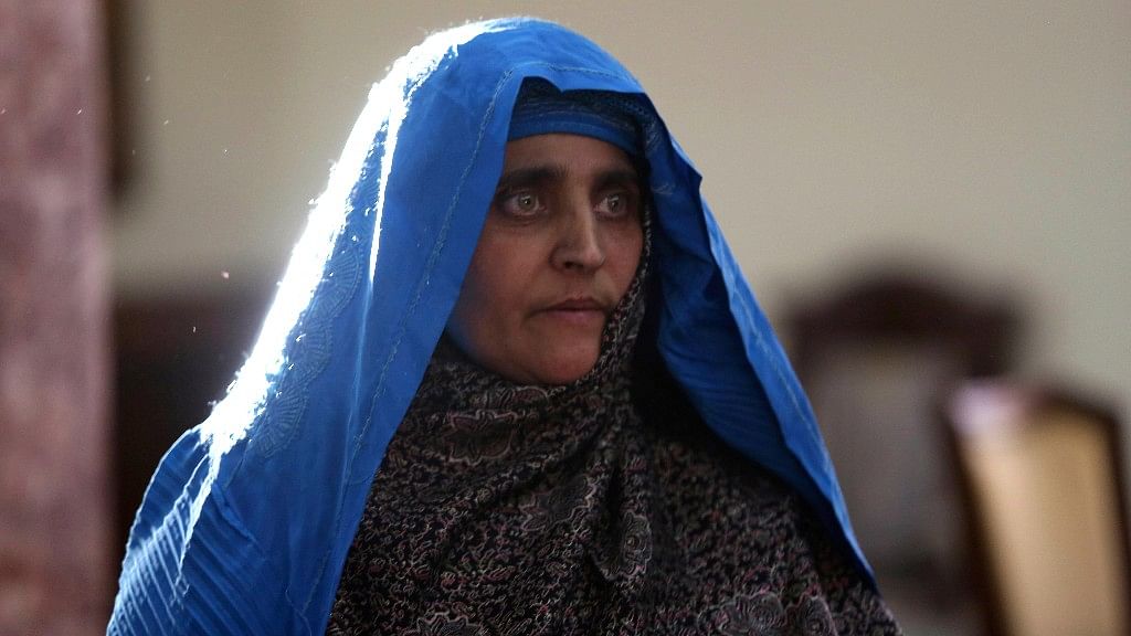 Nat Geo’s famous ‘Afghan girl’ will travel to India for medical treatment, Afghanistan’s Ambassador to India said.