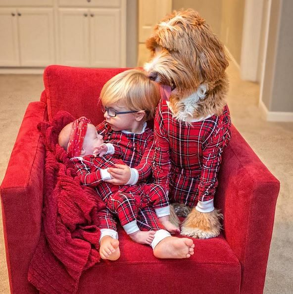 

Little Buddy and his fluffy best friend have over one lakh fans on Instagram. 