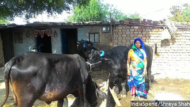 Anita, from Chhatripura in the predominantly tribal Dhar district, has a Jan Dhan account and an ATM card but she doesn’t know how to use it. (Photo Courtesy: IndiaSpend)