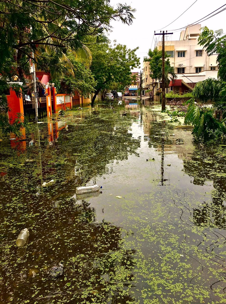 Cyclone-battered Chennai is slowly limping back to normalcy and how. 