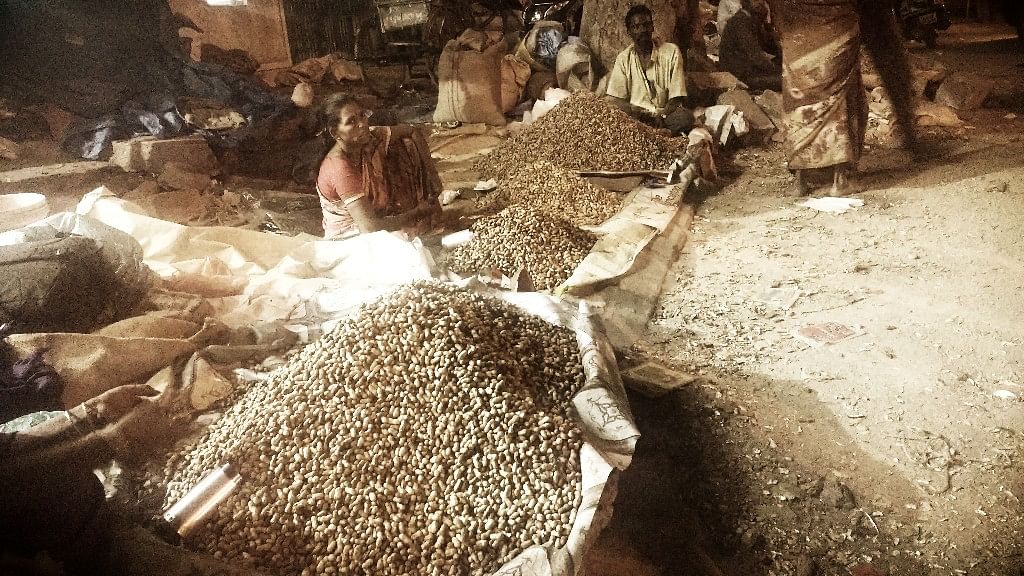 Amid the demonetisation-induced cash crunch, the annual groundnut festival in Bengaluru suffered losses.