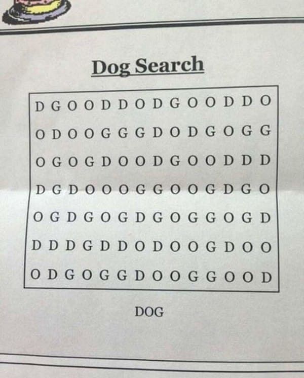 We have a Christmas puzzle for you. Spot the ‘dog’.