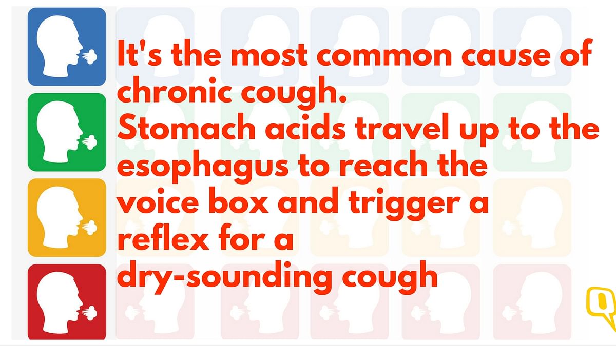 Everything you ever wanted to know about coughs so that you can silence them for good. 