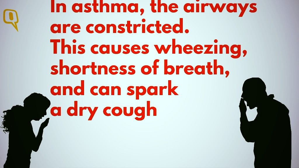 Everything you ever wanted to know about coughs so that you can silence them for good. 