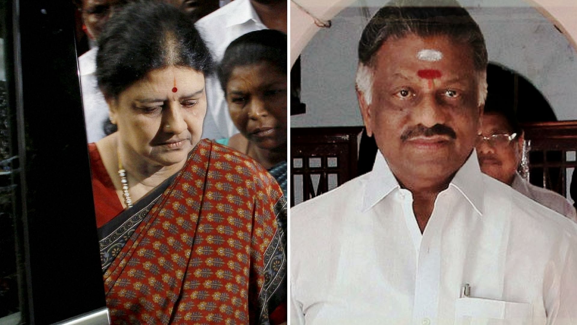 The Sasikala versus OPS battle rages on social media as well. (Photo: <b>The Quint</b>)