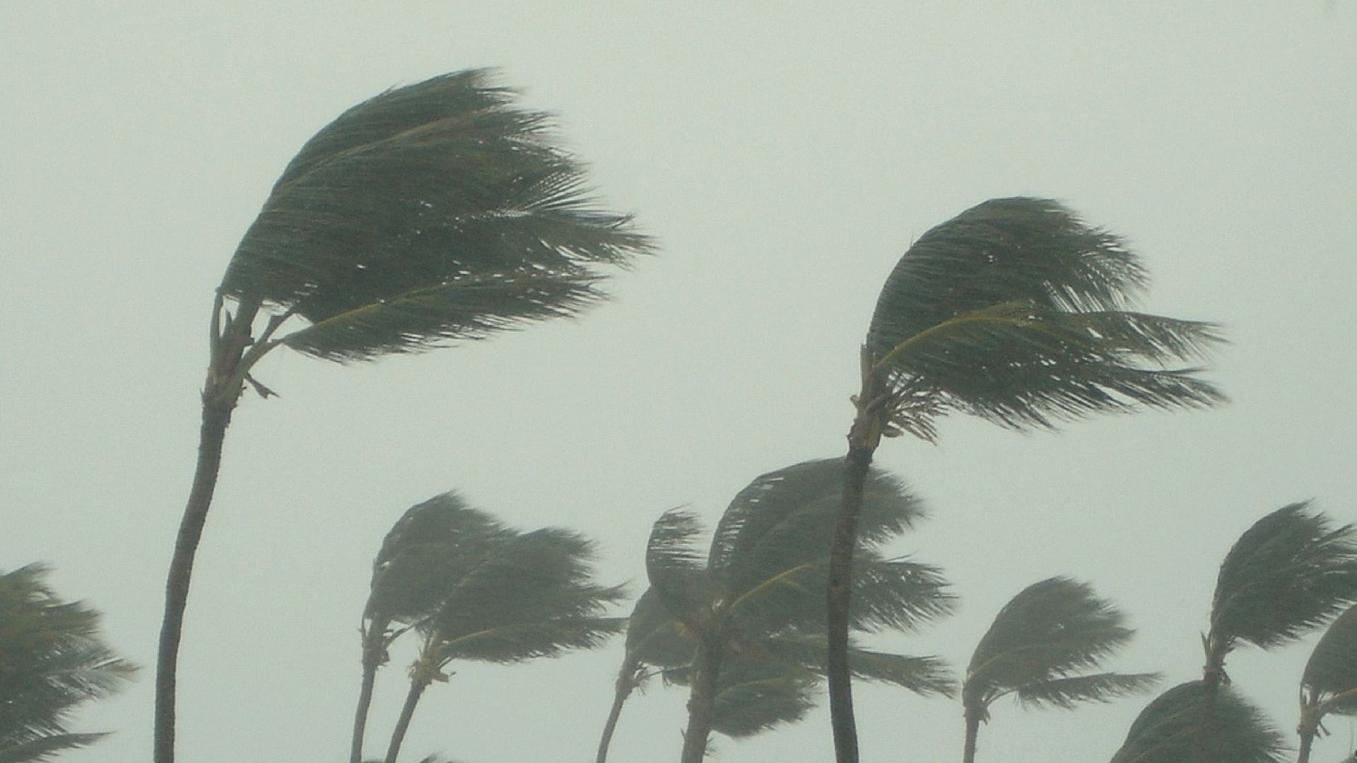 Cyclonic storm ‘Vardah’ over the Bay of Bengal has turned into a “very severe” one. Image used for representational purposes. (Photo: iStock Photos)