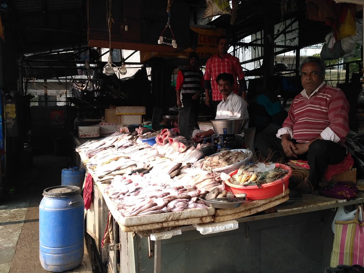 

The fish business, not as fishy as the Leader’s, works on simple – and human – cash dealings.
