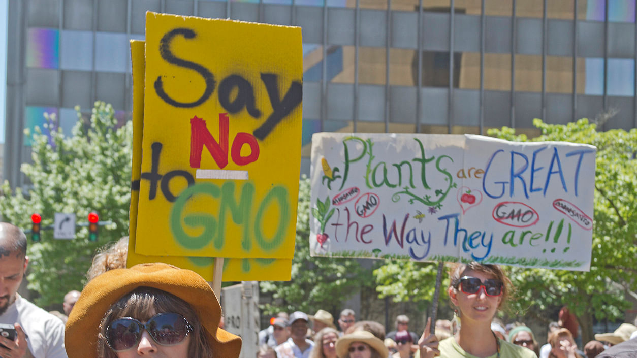 Millions of people around the world are against genetically modified crops. (Photo: iStock)