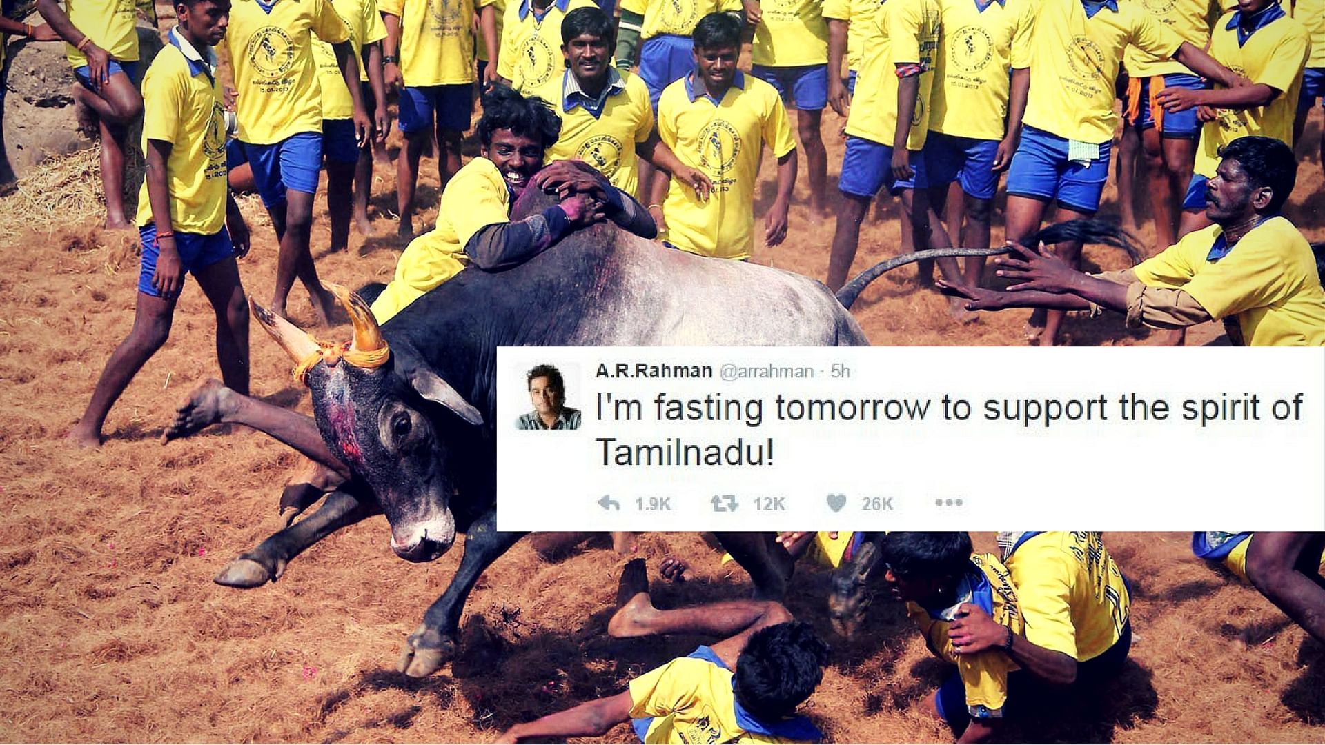

Jallikattu is a popular sport in many districts in Tamil Nadu. (Photo: PTI)