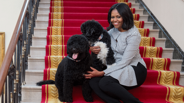 The video shows Michelle Obama taking a leisurely stroll in People’s House with Sonny and Bo on her side. (Photo Courtesy: Twitter/<a href="https://twitter.com/FLOTUS">The First Lady</a>)