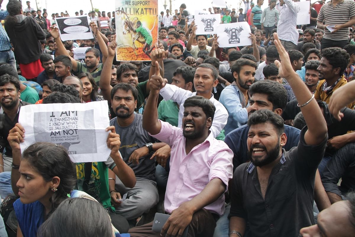 Should the upsurge of young Indians on the issue of Jallikattu be construed as their anger with liberalism?