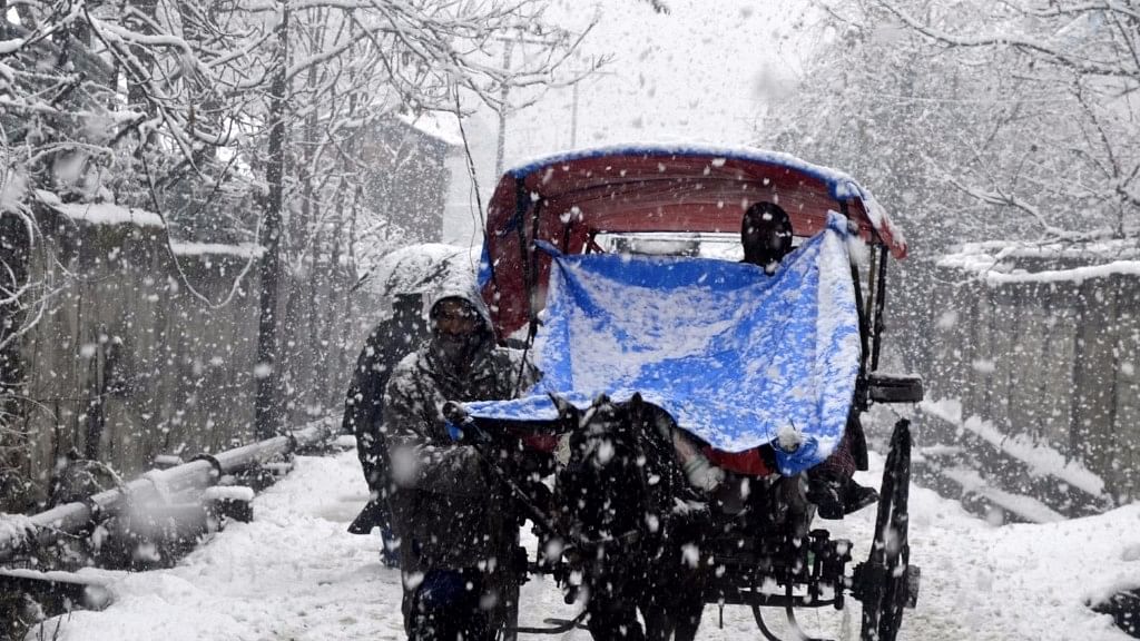 Snowfall in Jammu and Kashmir. (Photo: IANS)