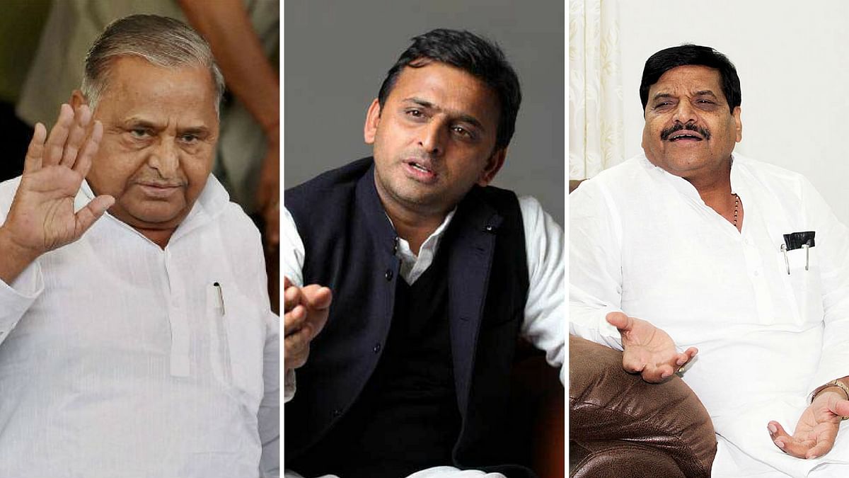 The year began with the erstwhile ruling Samajwadi Party grappling with the family feud in the Mulayam Singh clan.