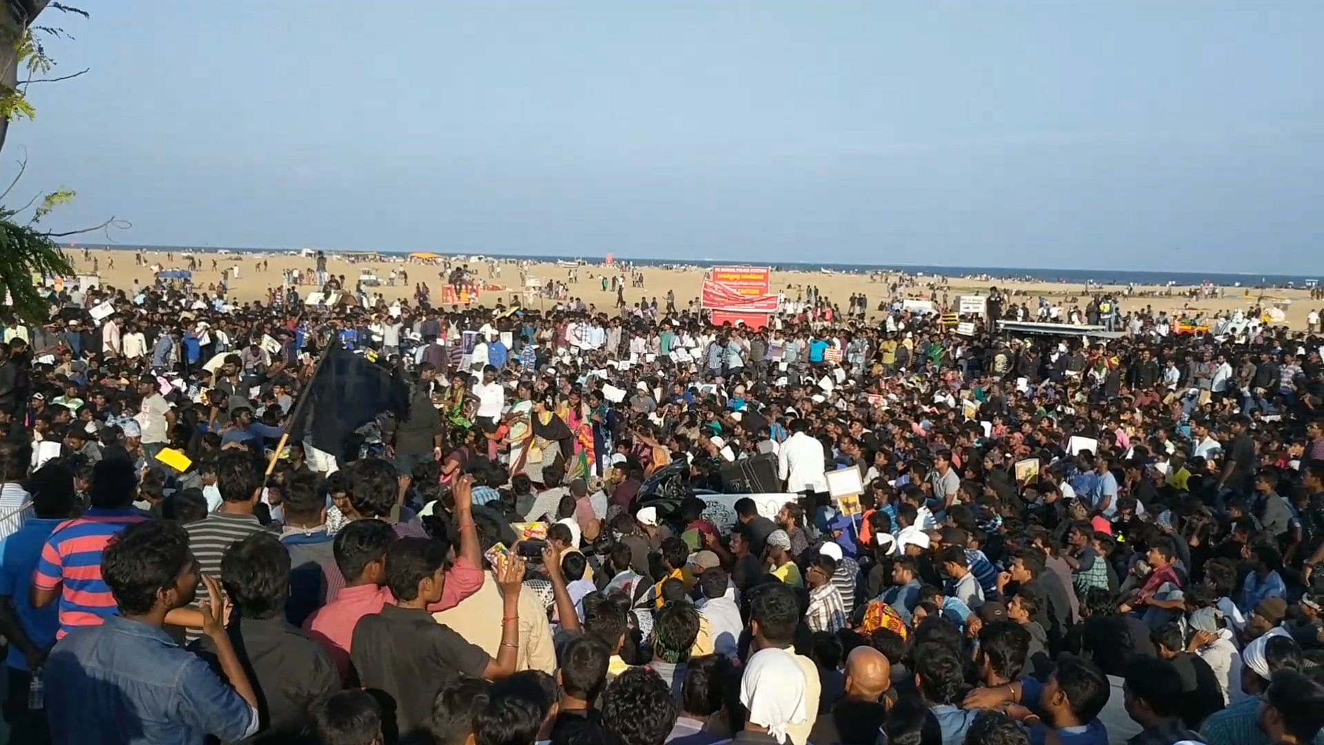 A sea of people can be seen in this picture, thousands camping on the Marina beach in Chennai in support of removal of the ban on conducting Jallikattu. (Photo: The Quint)