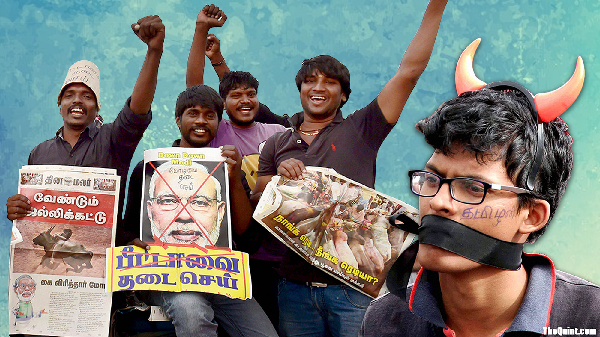 Jallikattu protests have exposed fault-lines between the Centre and Tamil Nadu, adding to the resentment of people. (Photo: Harsh Sahani/ <b>The Quint</b>)