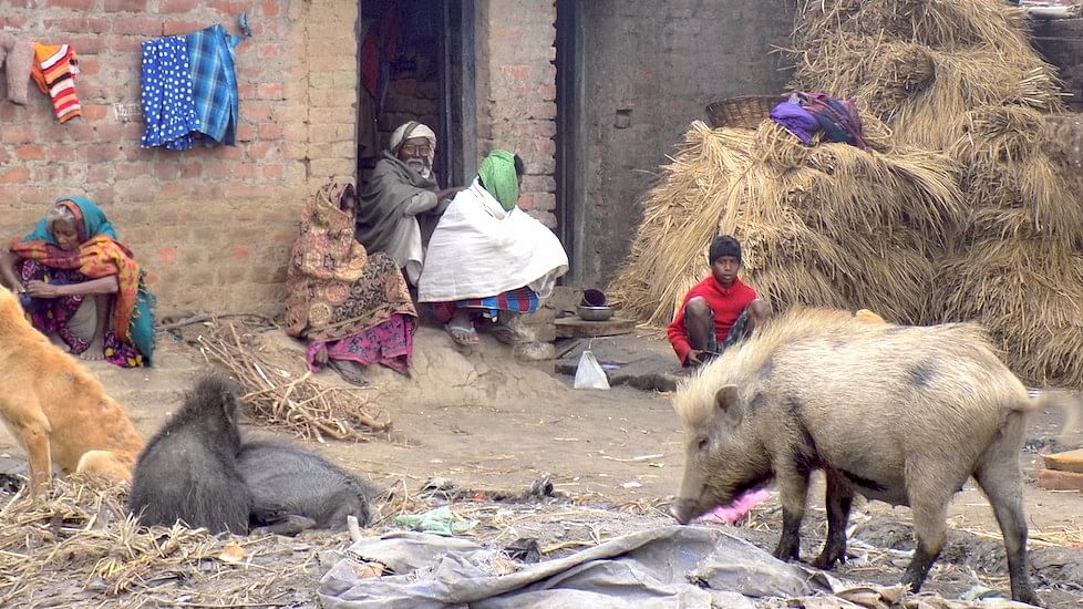 The Musahar community is still living in squalor across villages in Bihar. (Photo Courtesy: Mohd Imran Khan)