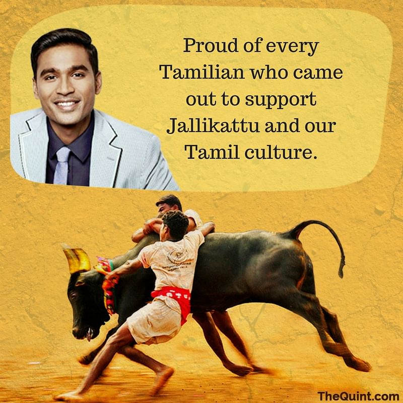 AR Rahman has joined the long list of celebrities who are supporting the people’s fight for jallikattu.