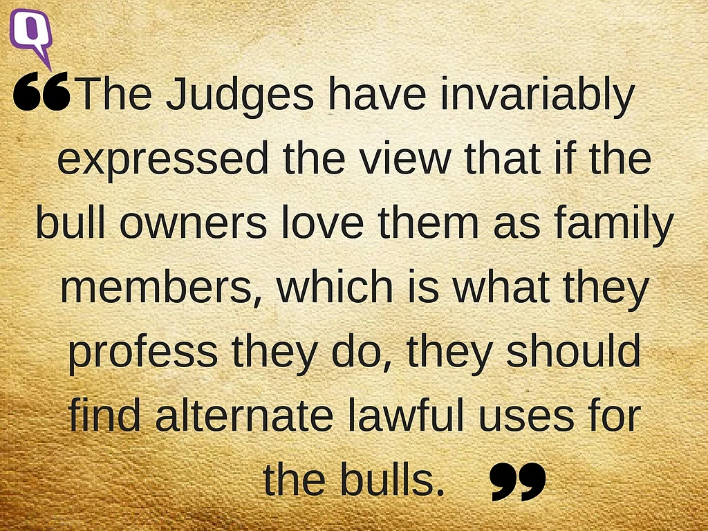 Defending Jallikattu in the Name of Tradition Is Like Backing Sati