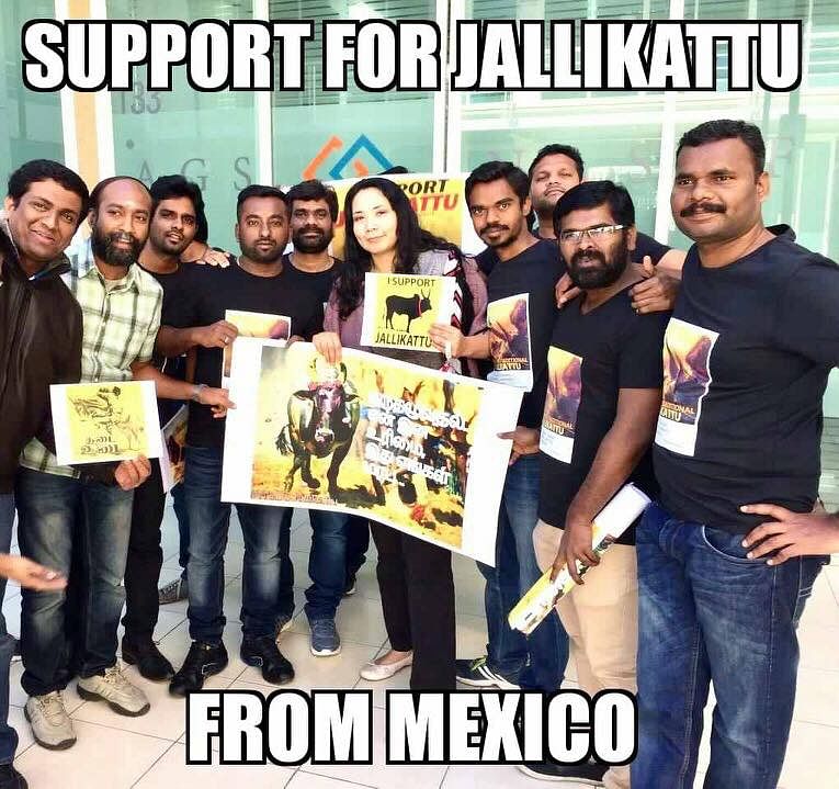 Support for Jallikattu pours in from all over the world.