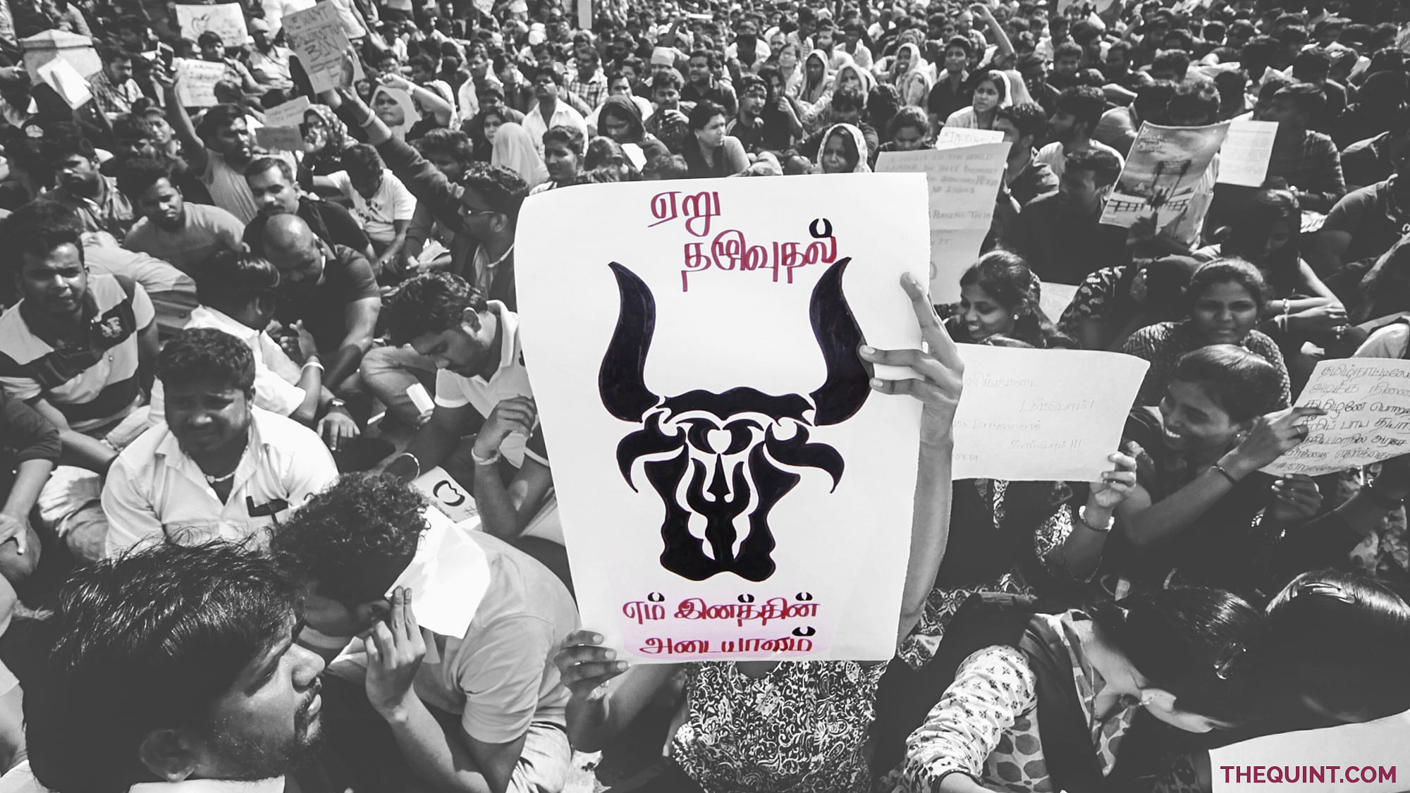 The current political transition being seen in the AIADMK and the DMK, the two parties that have ruled the state for close to five decades, is an unsettling issue for the youth. (Photo: Altered by <b>The Quint</b>)