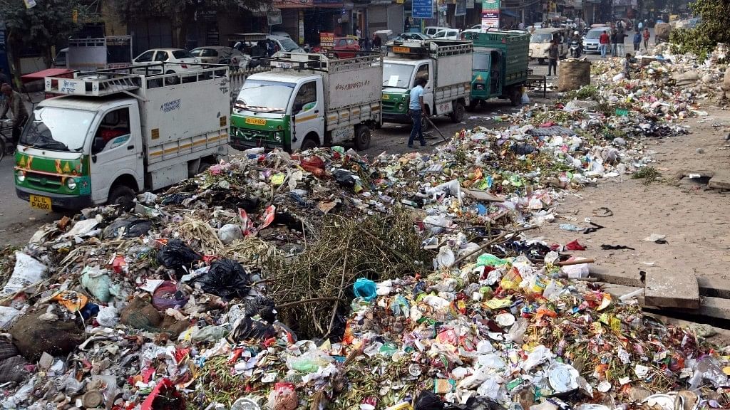 Around 7,000 tonnes of waste has piled up in east Delhi. (Photo: IANS)