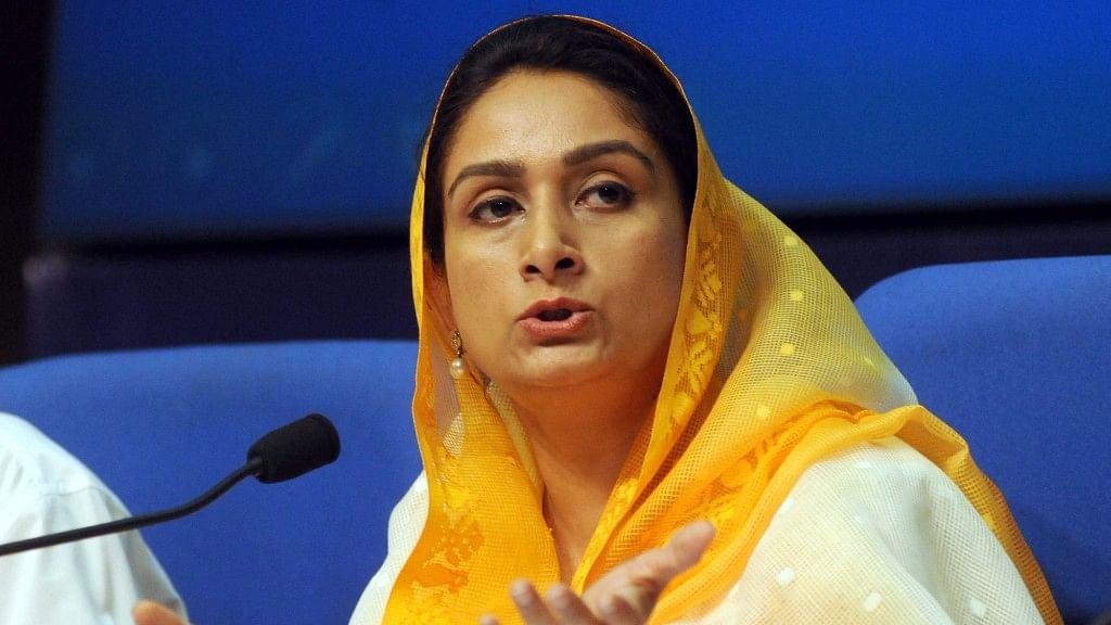 Union Minister for Food Processing Industries Harsimrat Kaur Badal addressing a press conference regarding the achievements of Ministry of Food Processing Industries. (Photo: IANS)