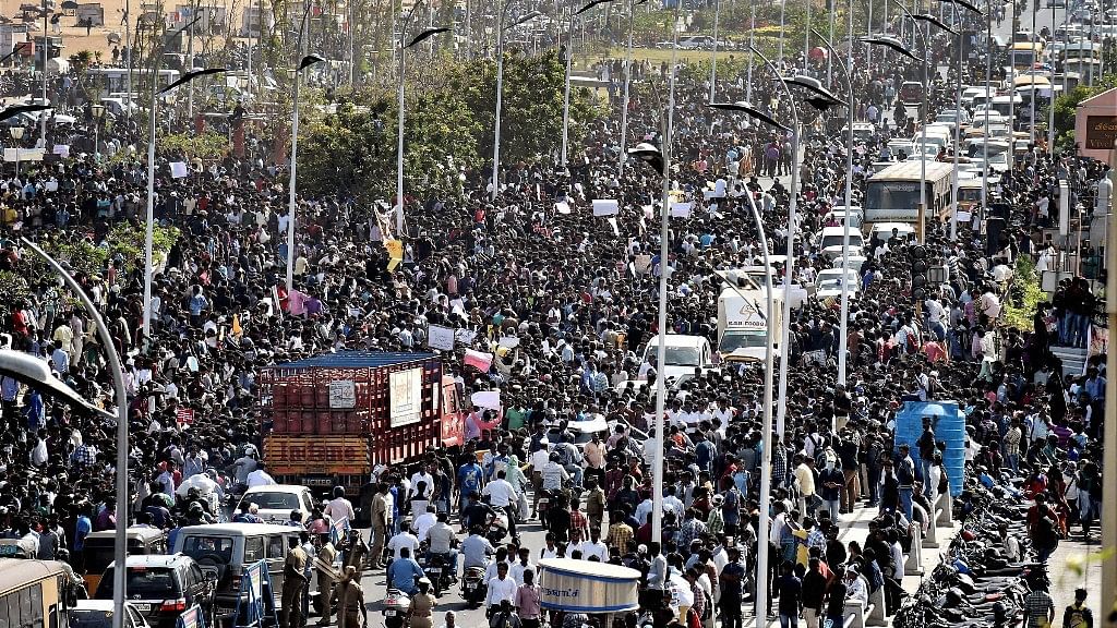 Thousands gather to protest the Jallikattu ban in Chennai. (Photo: PTI)